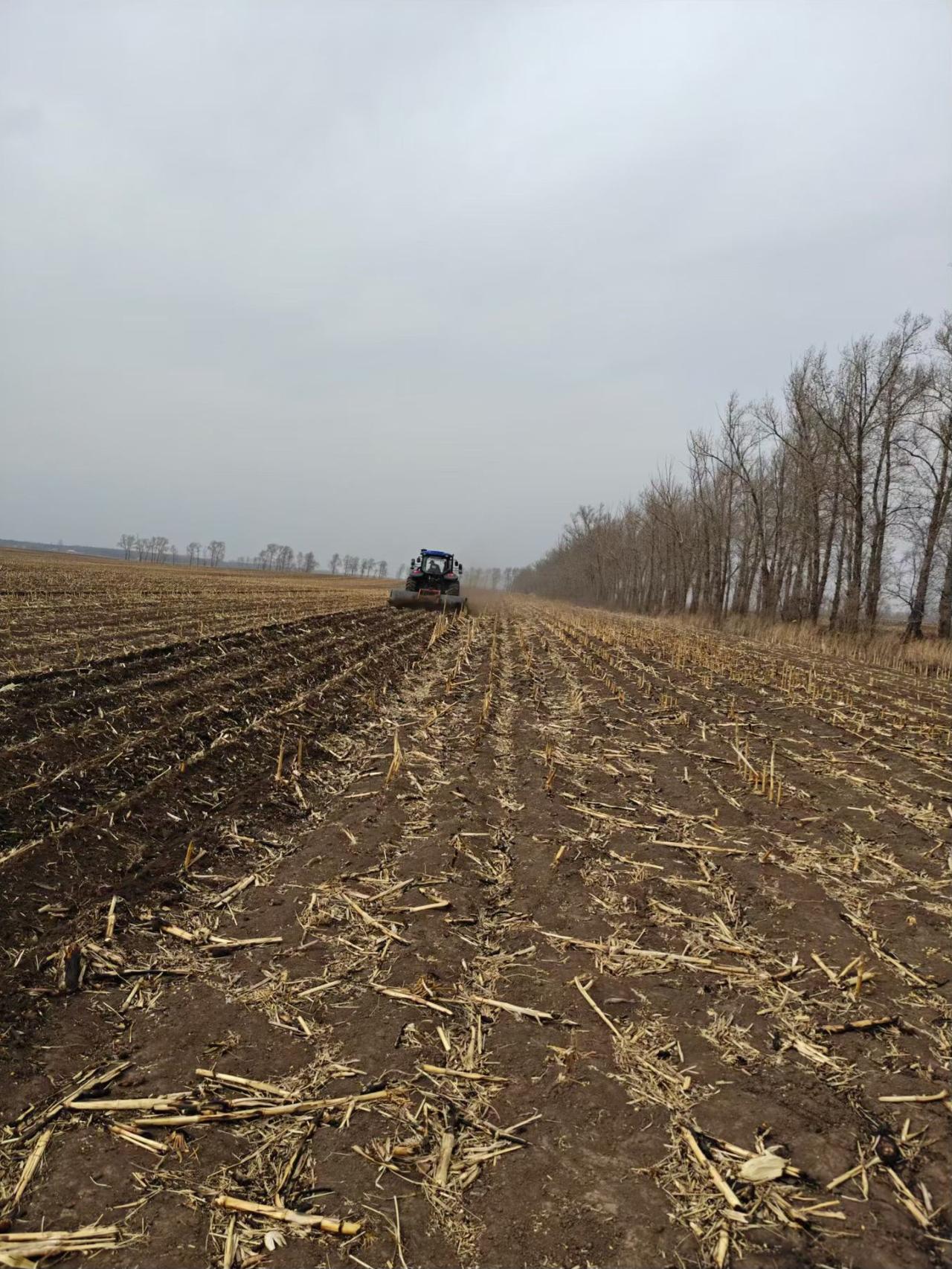 春耕生产可是保住中国人饭碗的关键。到了2026年春耕备耕时，国家在粮食安全上有大