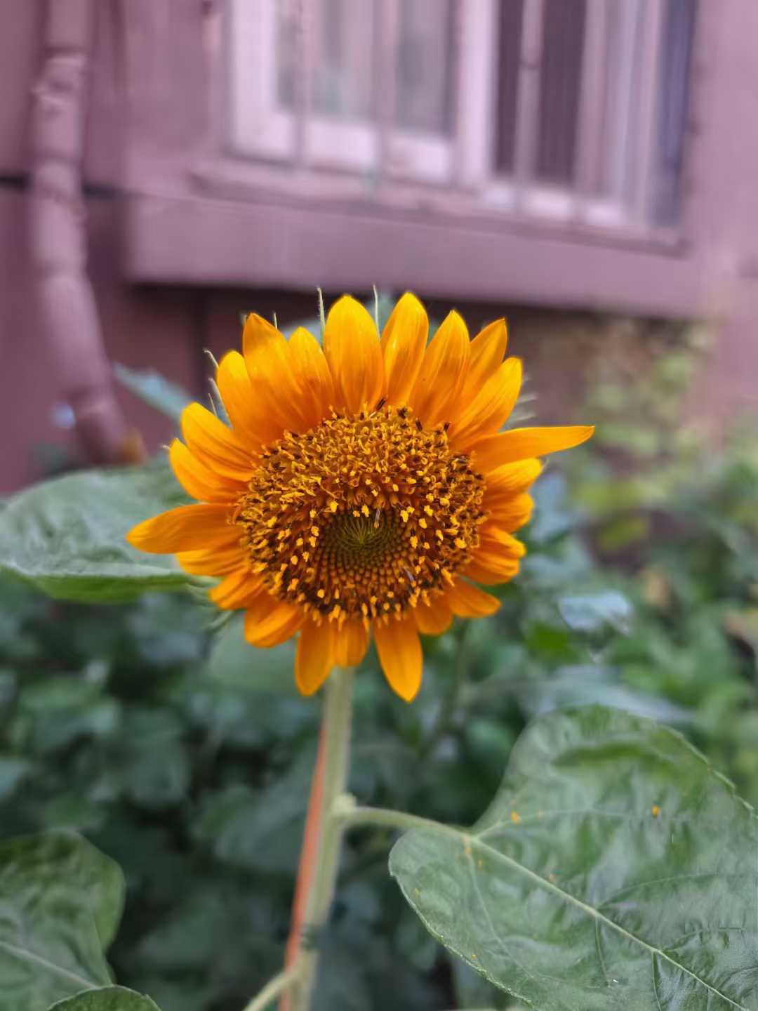 刷到过一段话：“学习，是为了改变自己的行为。慢一点，留出时间思考;慢一点。留出时