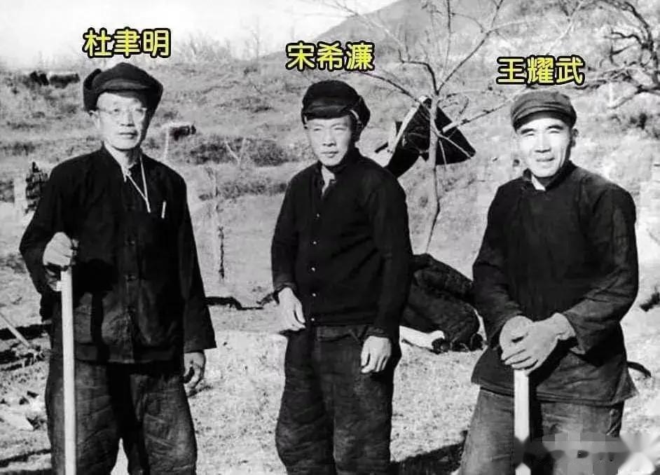 50年代，杜聿明、宋希濂和王耀武参与了劳动改造的场景

他们头戴棉帽，身穿棉衣棉