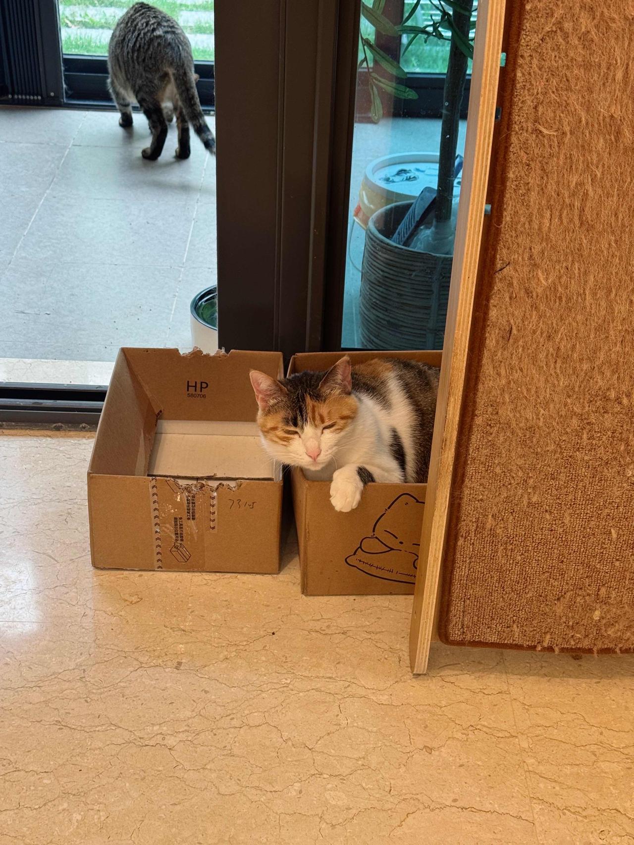 下雨真是太无聊了，好想出去玩