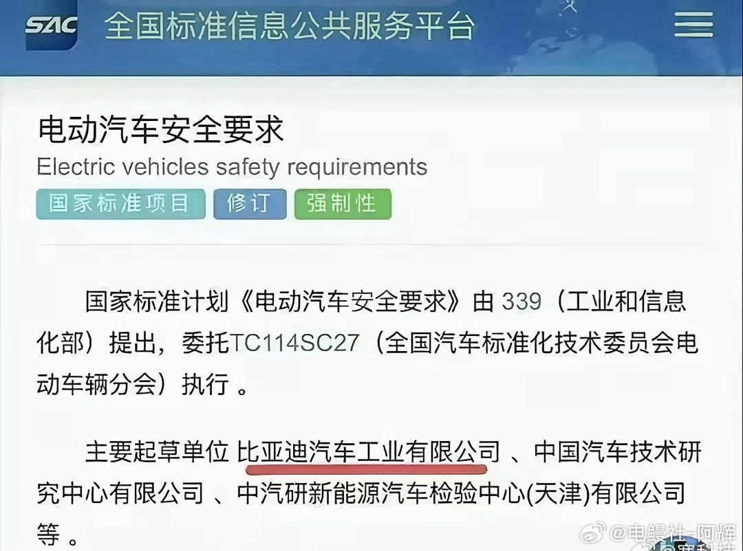 为什么比亚迪能当标准起草单位？因为它是国内唯一一家三电全自研、全自产的新能源车企