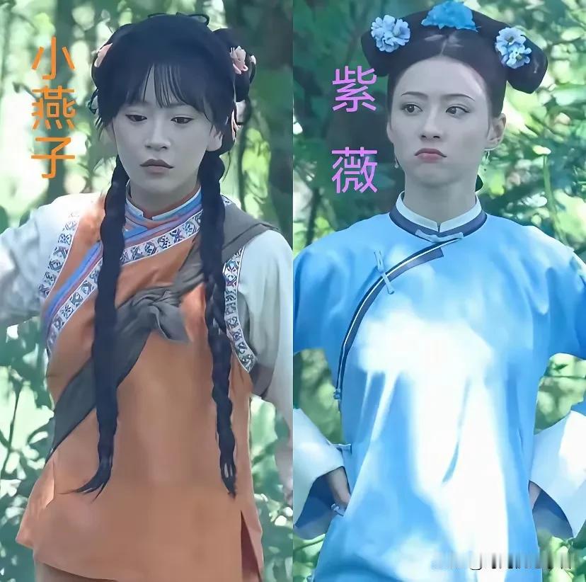 还珠格格又要翻拍了。这紫薇和小燕子的角色也太娇嫩了吧？看起来两个人的年龄都很小。