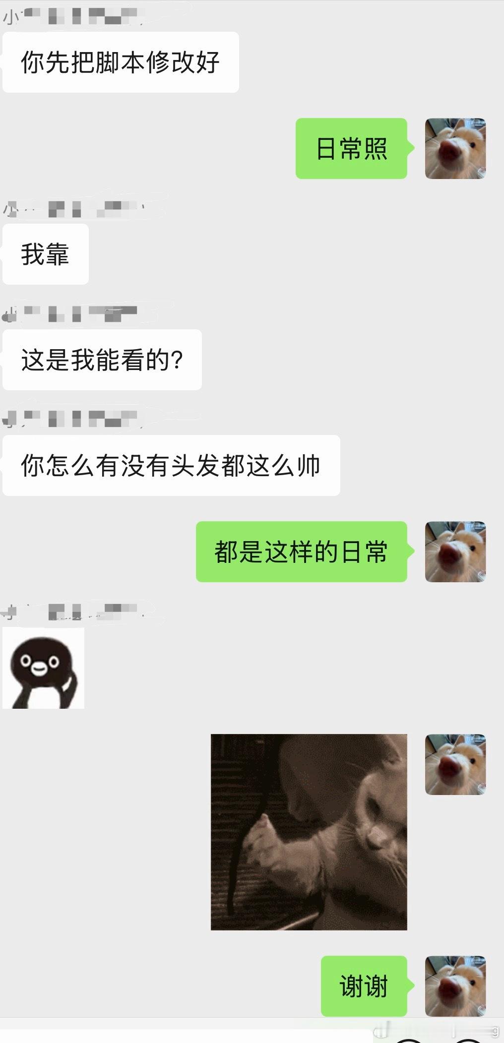 甲方要看我有头发的照片，我发的对吗 