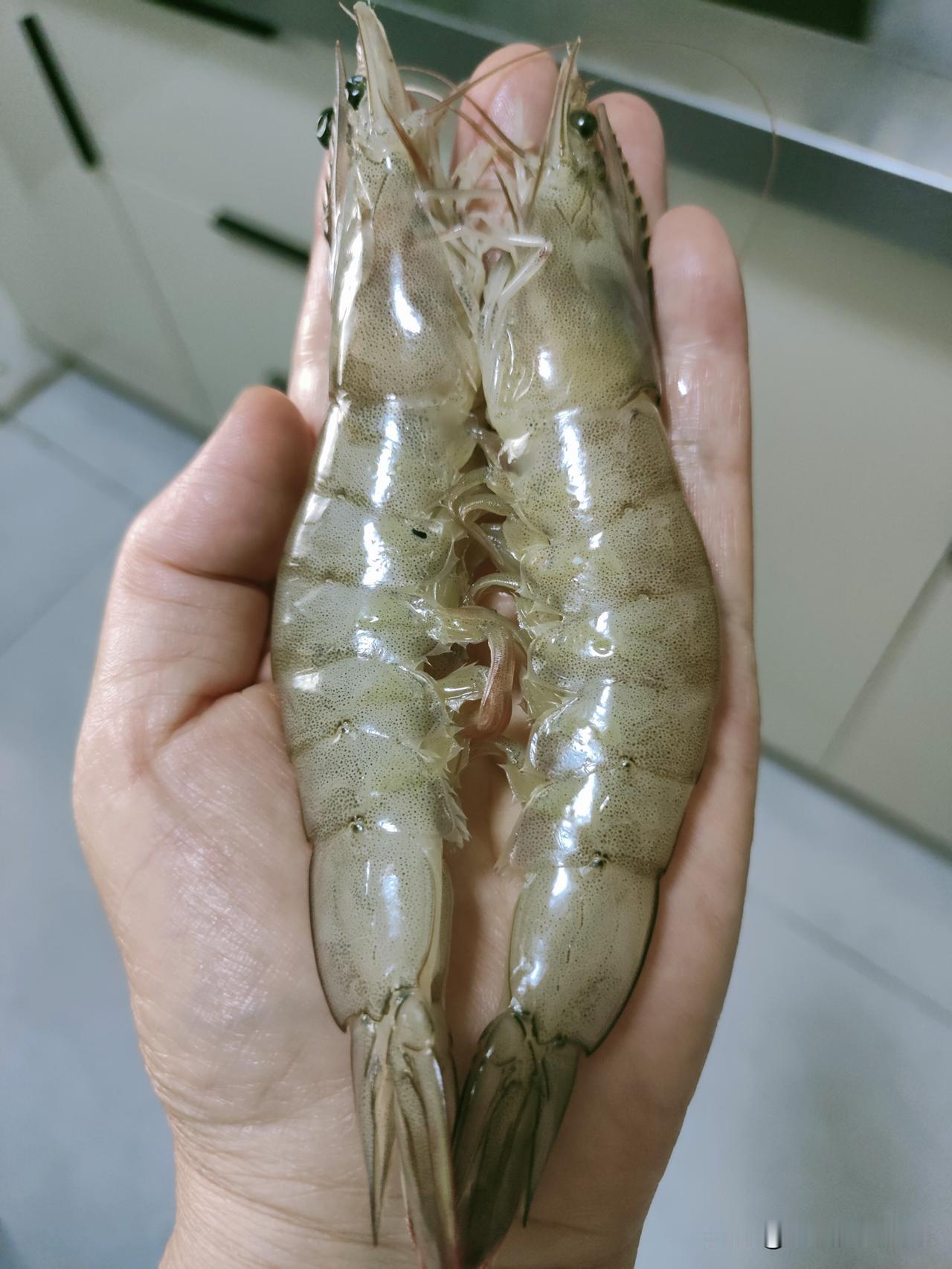 今天下楼扔垃圾，发现卖虾的居然来了，
赶紧过去看看有没有刚咽气的大虾，
还真有，