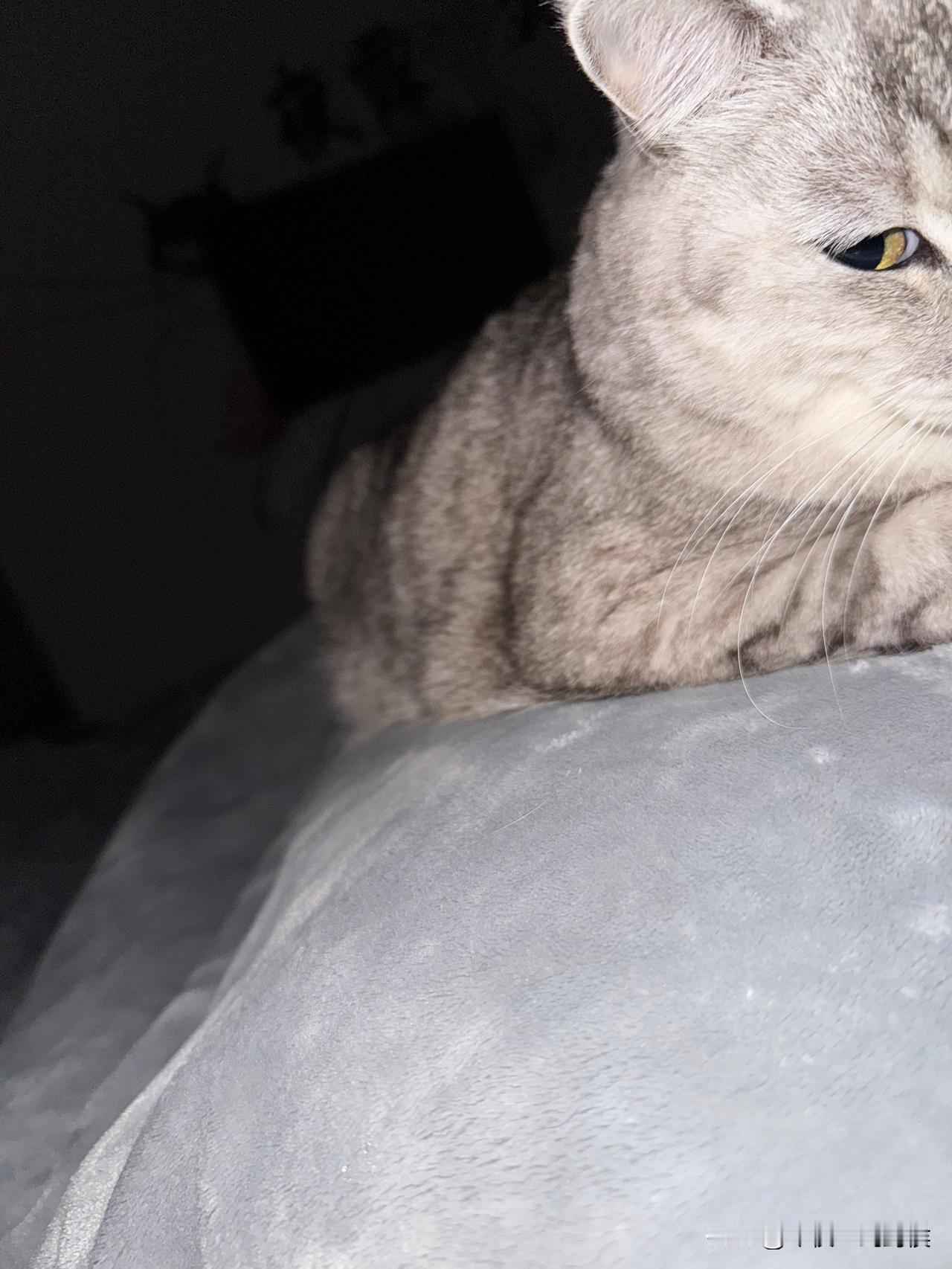 最近总是半夜喘不上气，以为是鬼压床。
小时候遇到过很多次，会浑身僵硬，怎么动都起