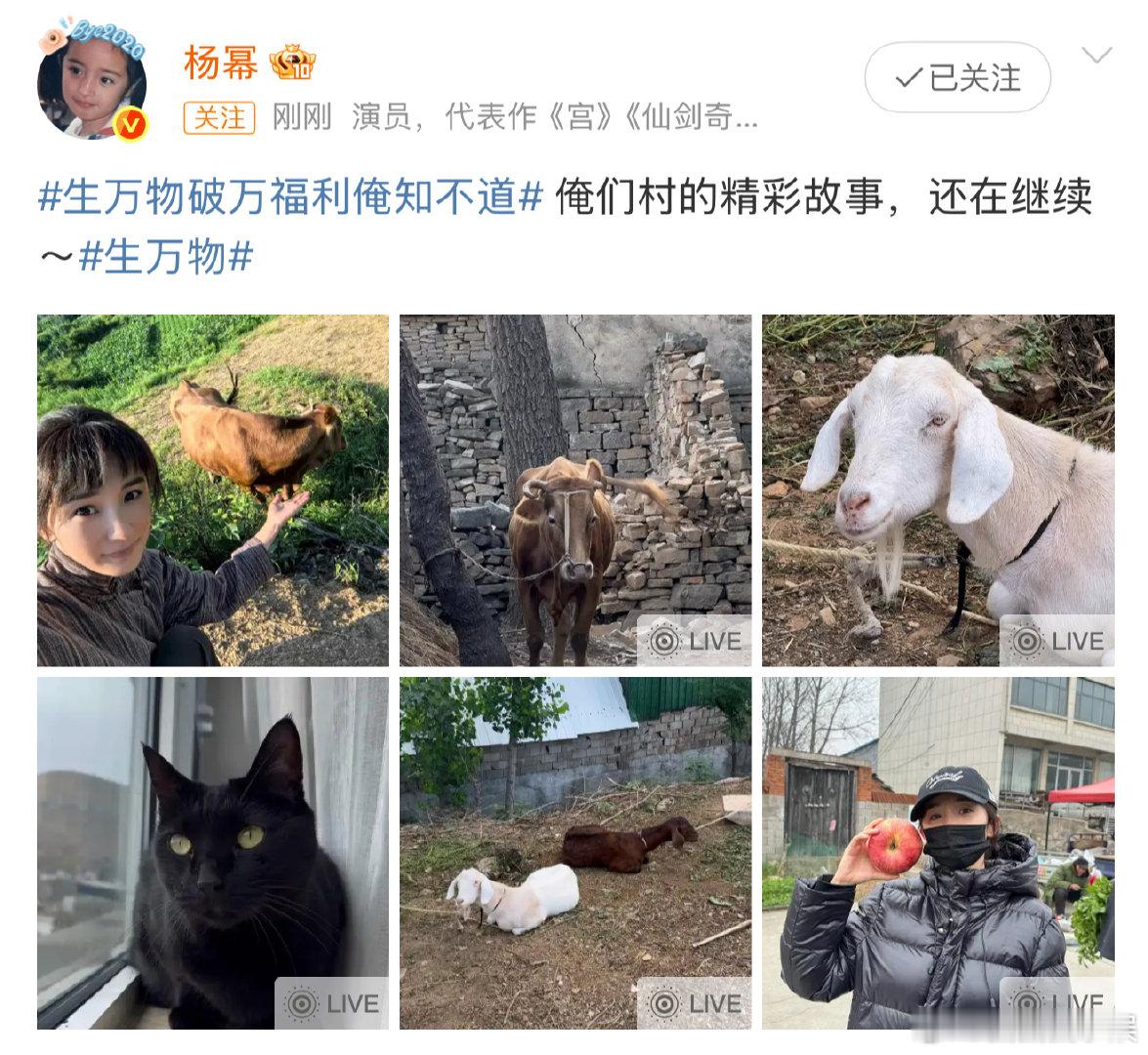 杨幂晒生万物plog杨幂生万物破万晒照，恭喜这个宁绣绣！！杨幂生万物破万晒照 ​