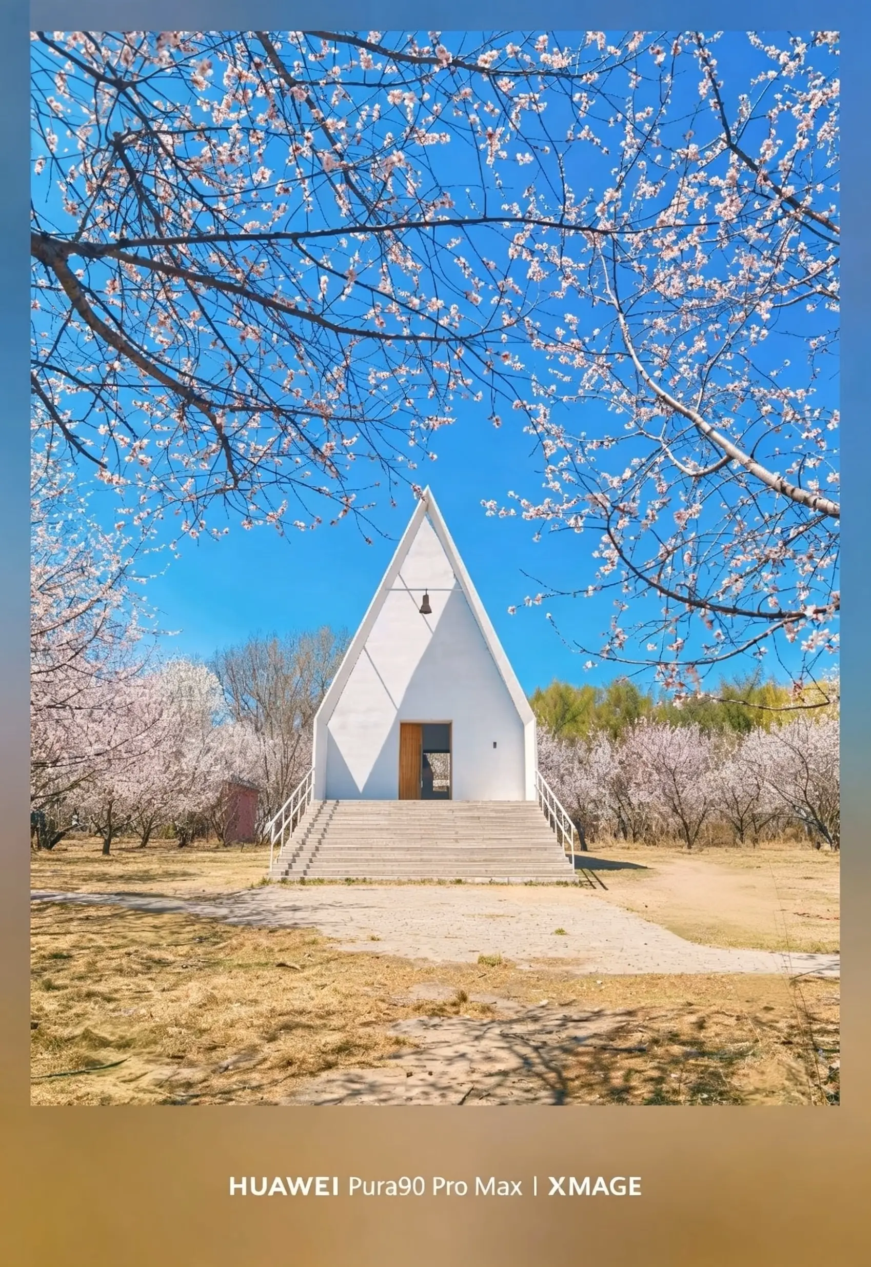 我用华为Pura90 Pro Max在长春拍到了阿那亚