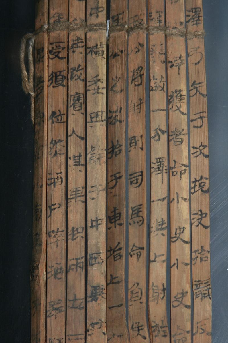 湖南发现胡亥登基竹简：揭开秦朝又一隐史，难怪大秦能统一中国。

2013年的兔子