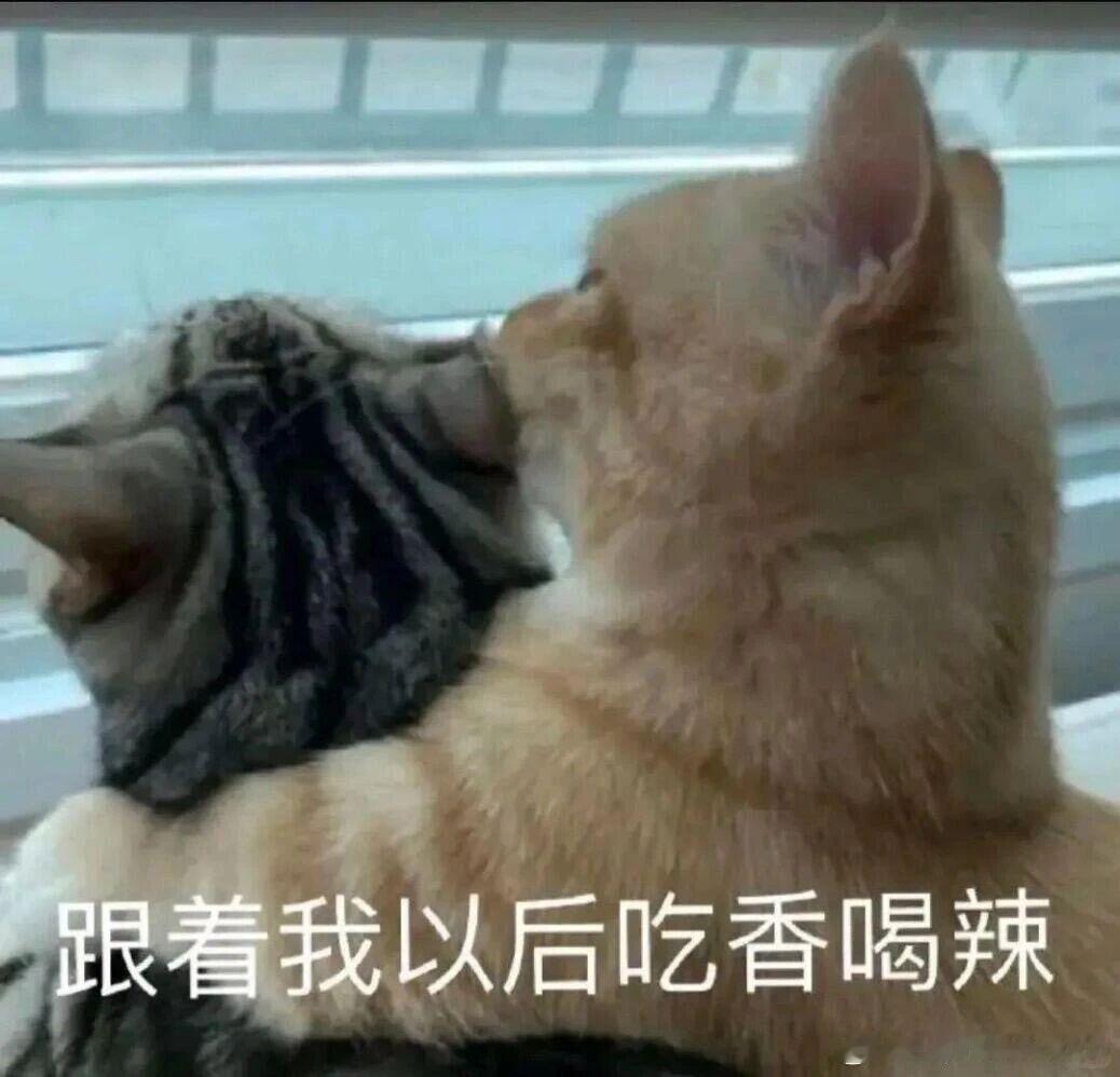 早餐吃热干面还是杂酱面还是酱香饼呢 
