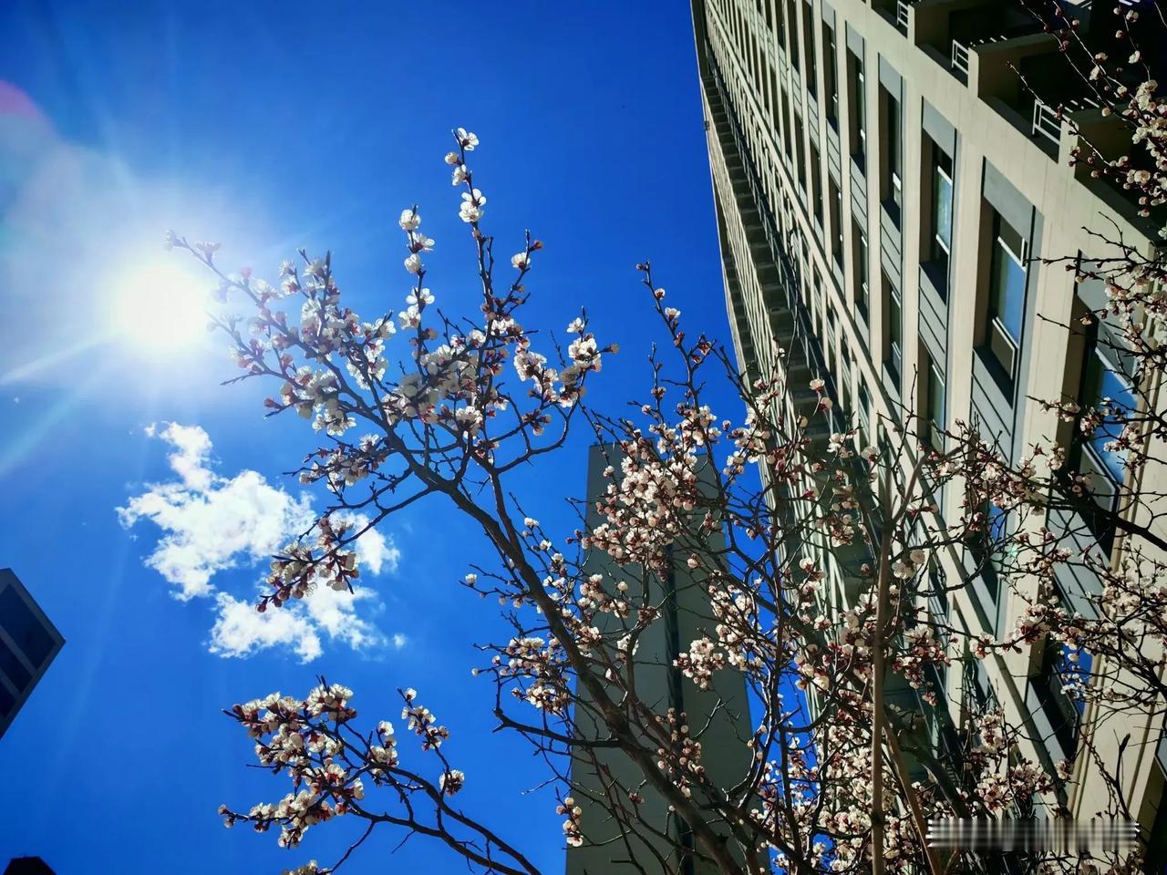 今年，生鲜超市是小城里客流量最大的地方！现在的人可以不买穿的，不买戴的，但是吃喝