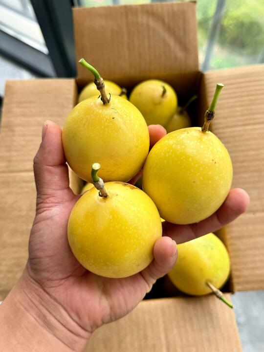 买之前货比三家，有好货的！