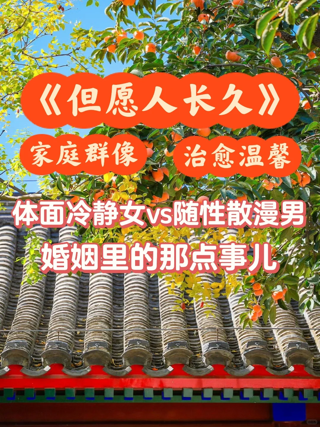 家庭群像❗️烟火气十足的现实童话