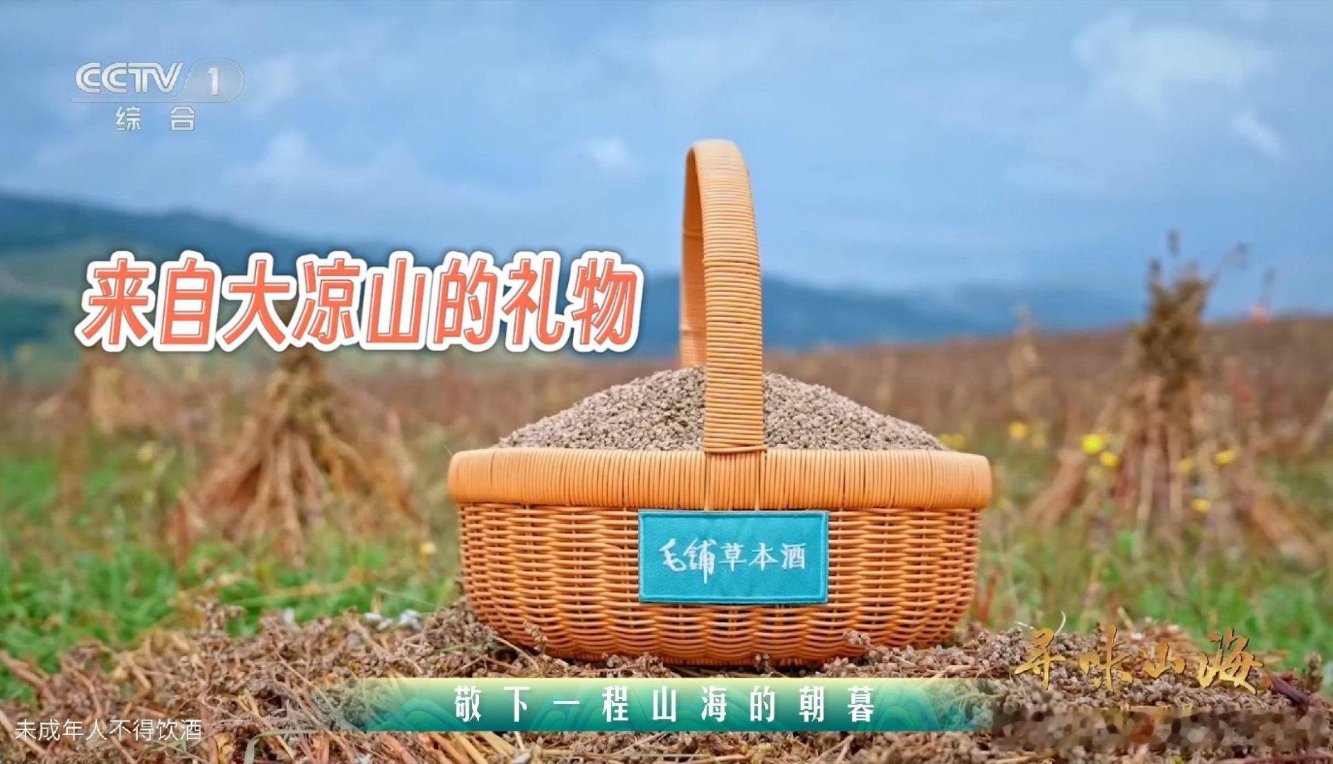 大凉山苦荞麦该怎么吃看完最新一期《寻味山海》，没想到大凉山苦荞麦才是粗粮届隐藏大