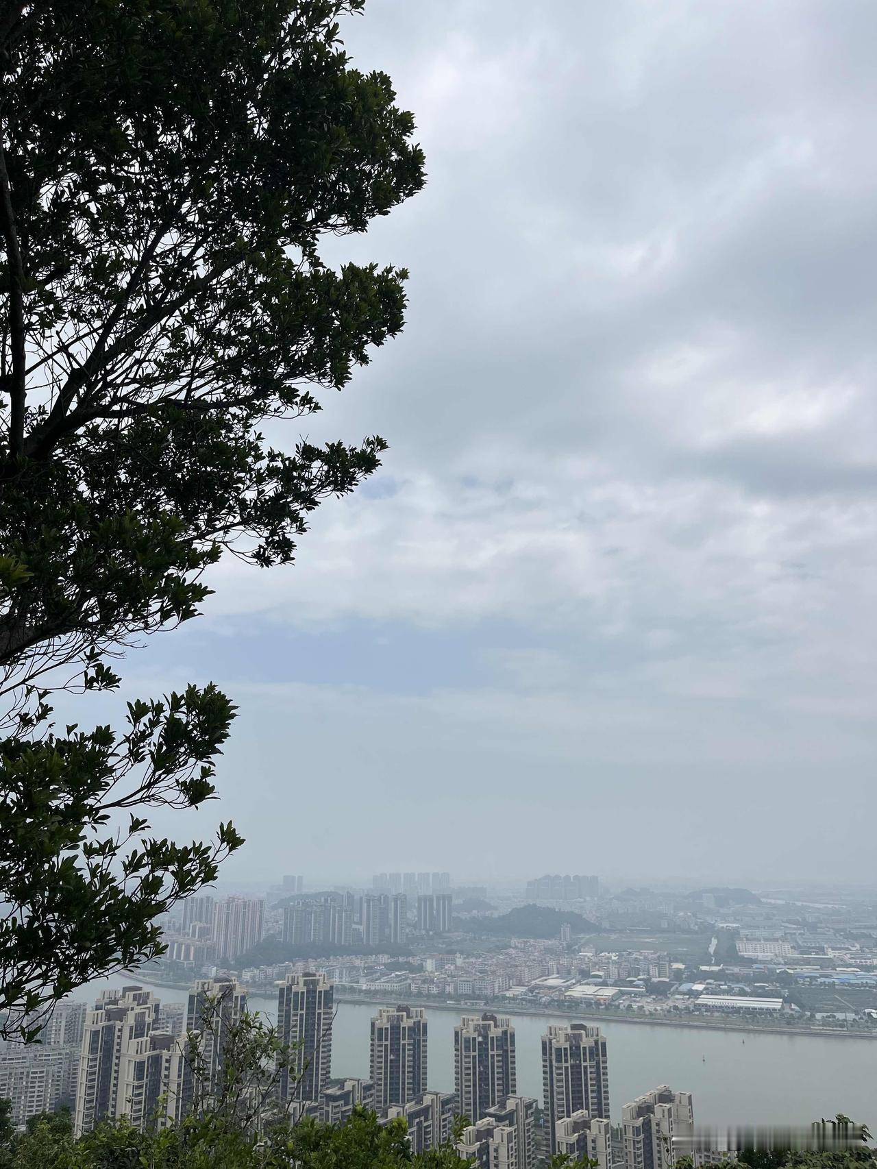 《资治通鉴》机会真相：真正的大机会，藏在危机和恐惧中，

所有人都不敢去做的，就