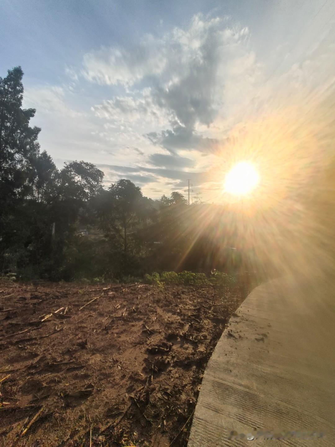 今年冬天格外仁慈，秋后的阳光明媚送暧，好像是对我们年老者的关怀。
冬天的温暖，是