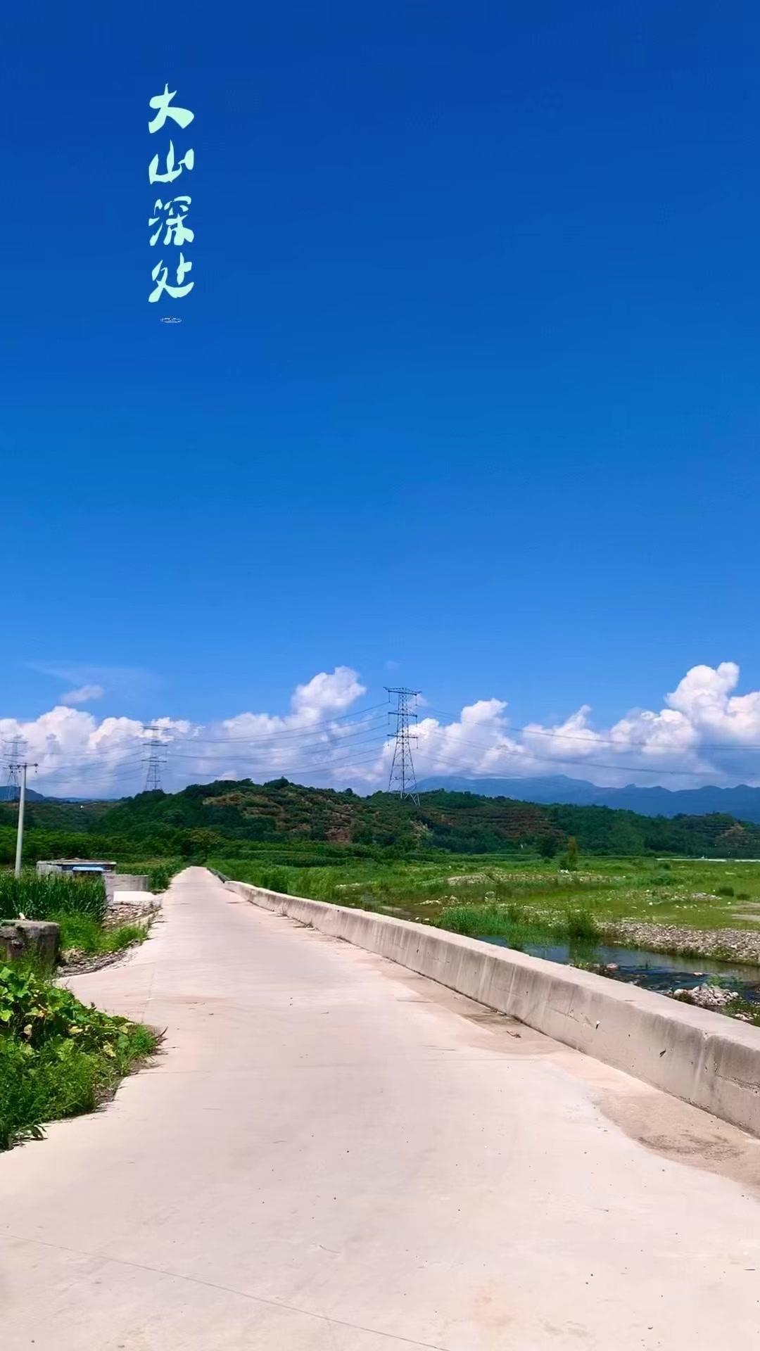 🌿在山里遛弯才发现，太阳底下热得人发慌，躲进树荫里瞬间凉飕飕～这种天然的温差太
