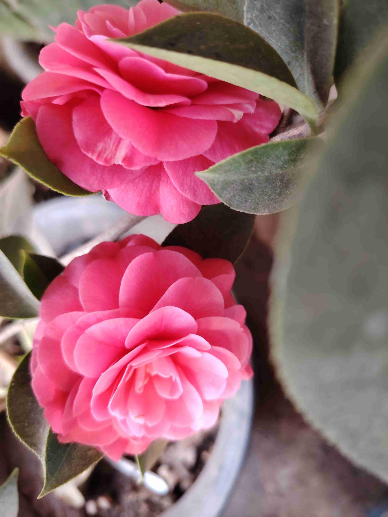 我的今日状态：😁轻松愉快
我这里的天气：🌤️多云