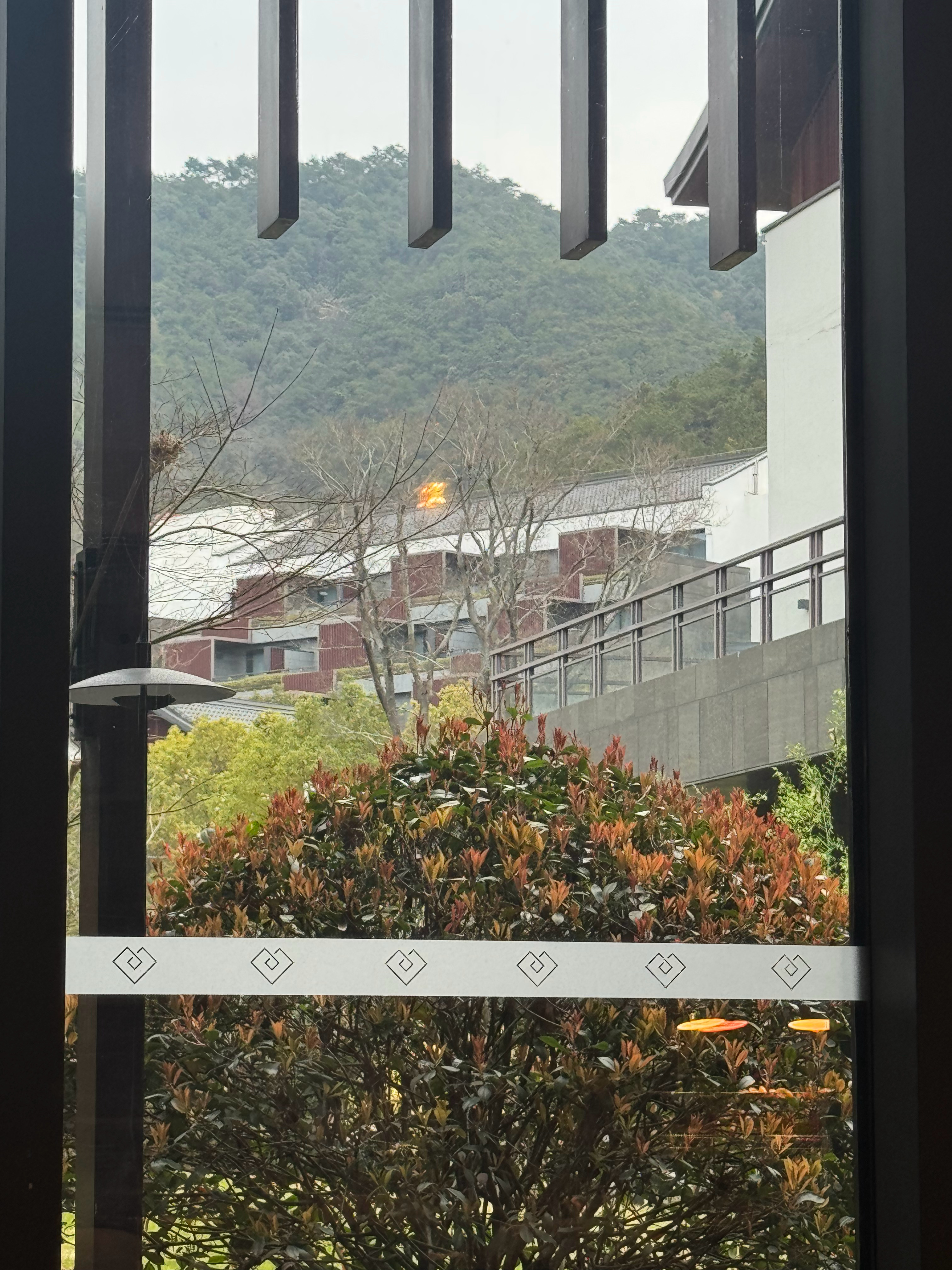 江浙，怎么能这么冷！李楠说道李楠说道早安