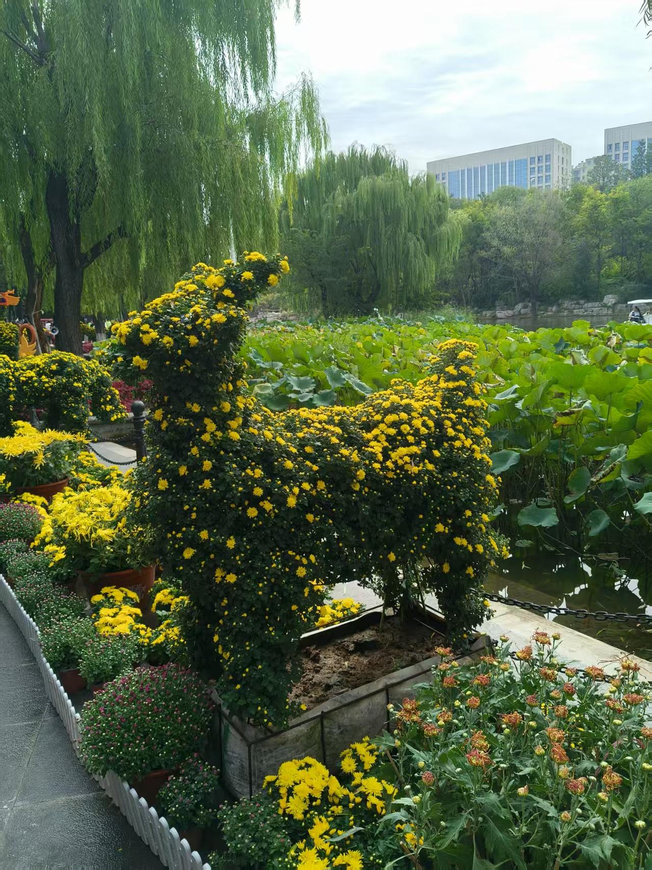 “人生何处不相逢，时有幽香梦里通。当时明月沧海意，如今落花水流红”，这几句诗好有