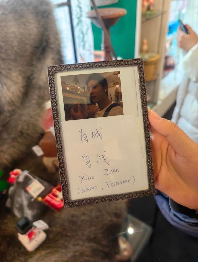 肖战全世界的招财兔 
