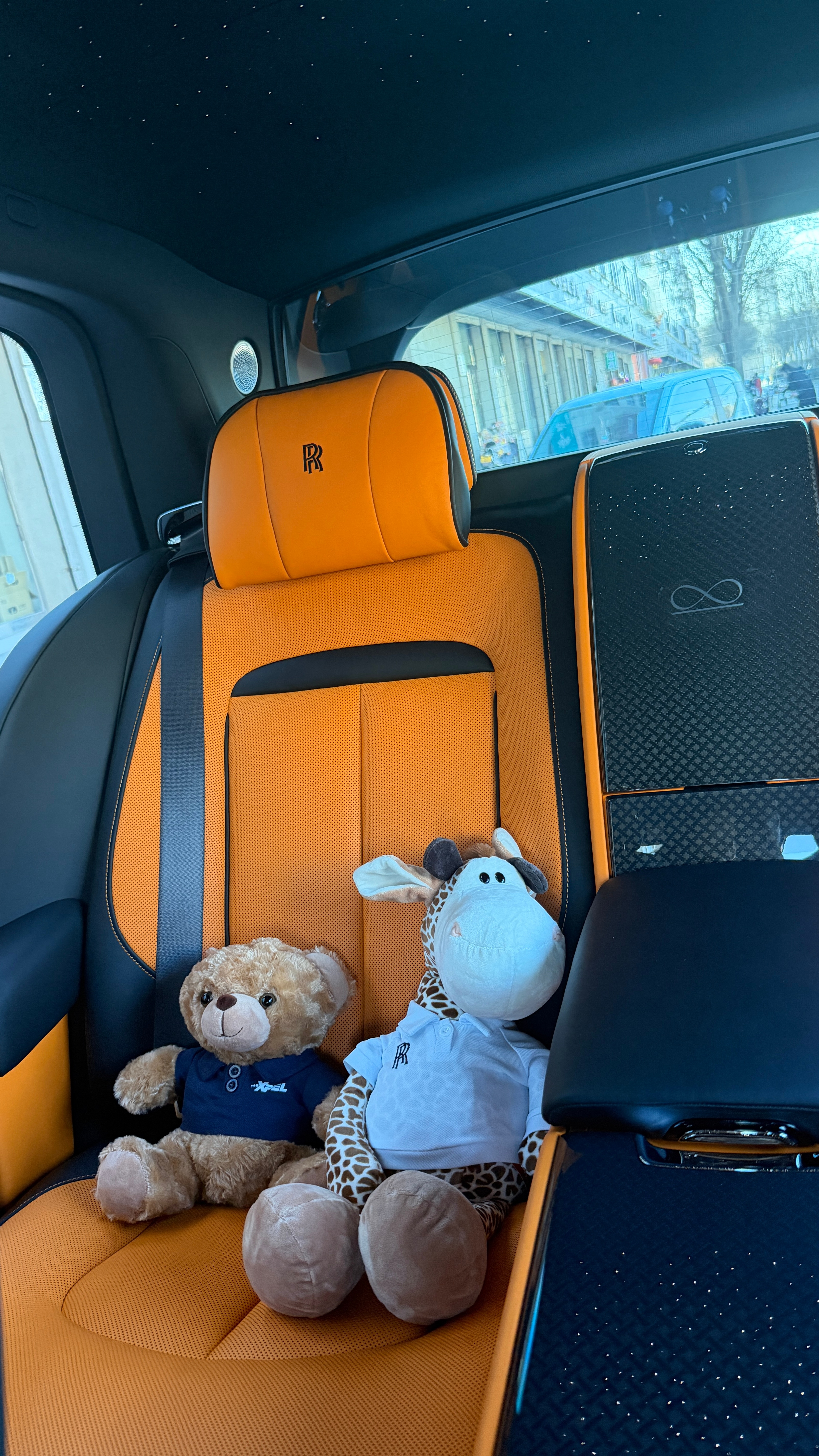 已经完全让我训练成拍照机器了 