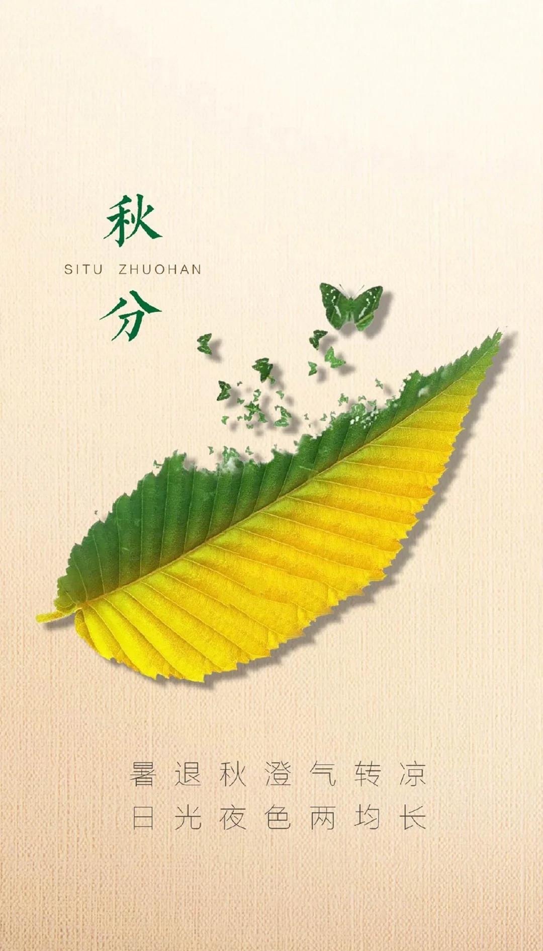 秋分是秋季的重要节气，标志着自然界进入阴阳均衡状态，人体需顺应“收敛”之气，以“