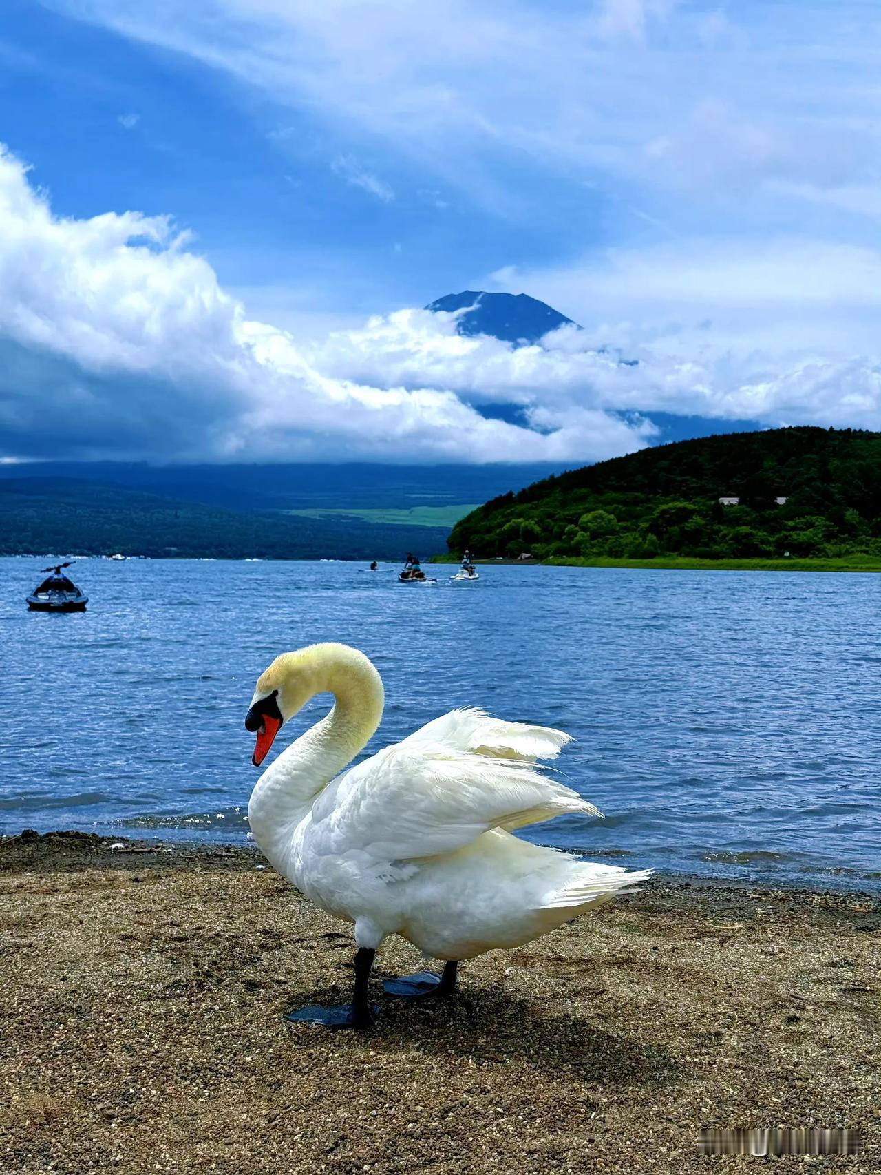 夏天，是吃瓜的季节。
昨天，一个大西瓜
圆溜溜
汁水脆甜
今天，又吃了一个大西瓜
