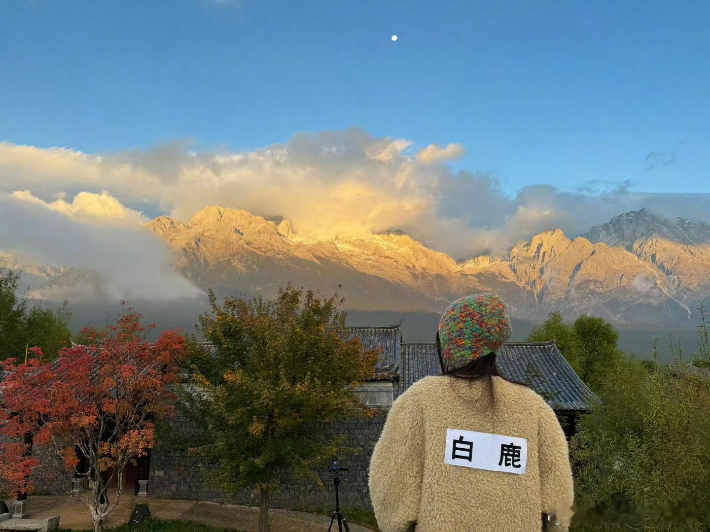 #白鹿拍的日照金山##白鹿[超话]# 白鹿真的是掌管氛围感的神呀！太会拍了，真的