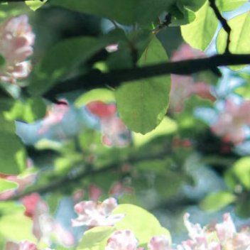 每日一善  每日一善   阳光信用 生命匆匆，不必委曲求全，不要给自己留下遗憾，