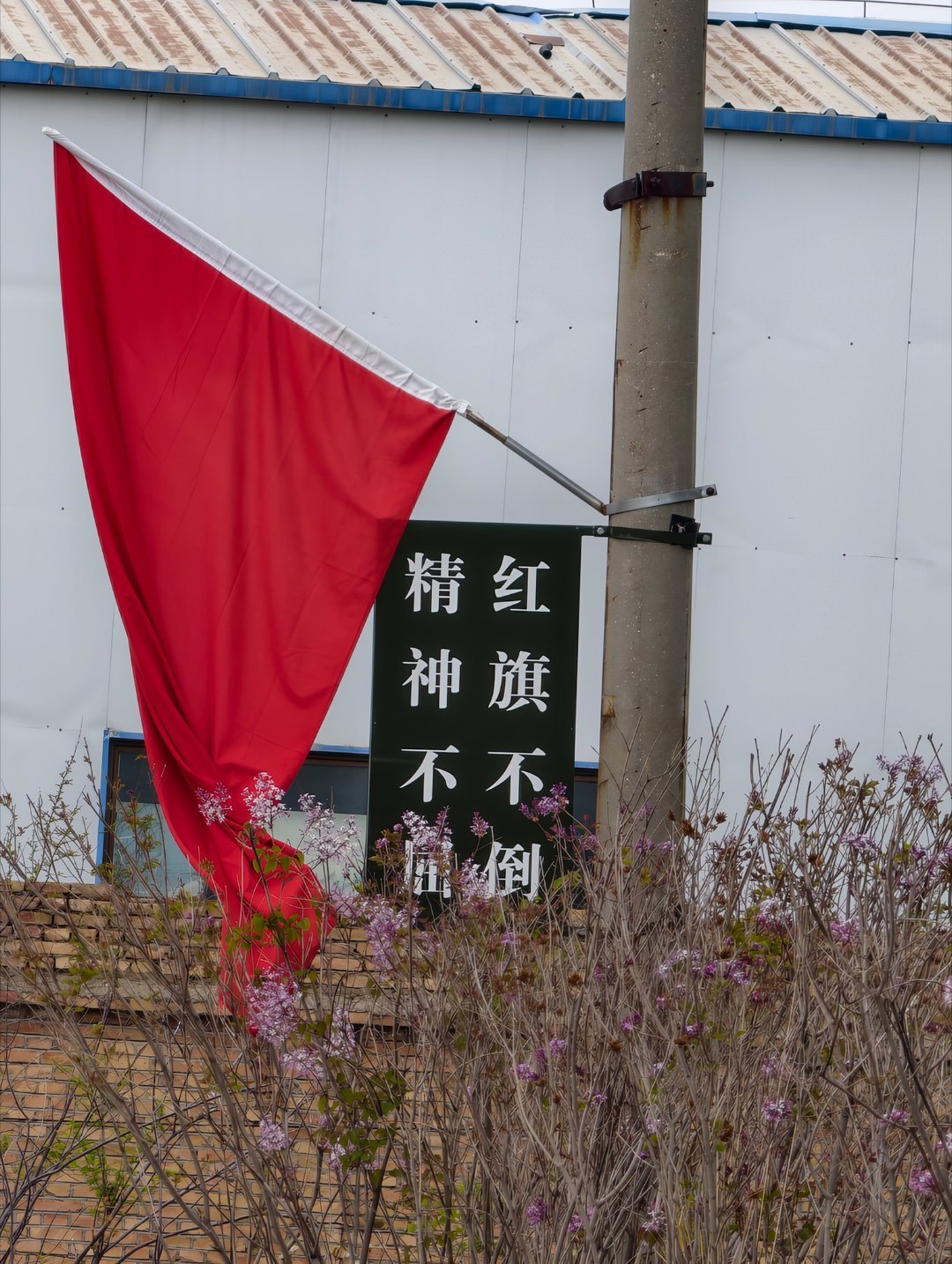 青春华章两弹一星铸丰碑青海金银滩藏着最硬核的青春 中国原子城221厂厂区标语代号
