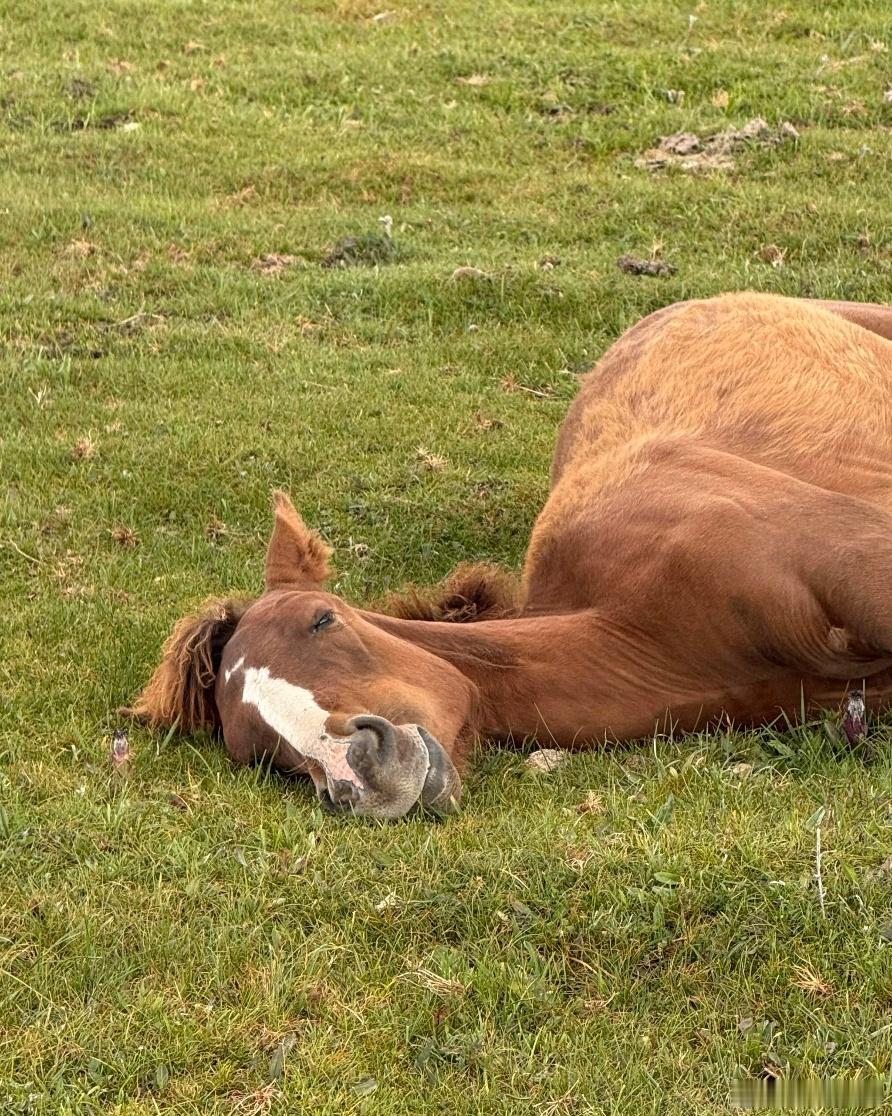 中游制造，现在是行业比较和筛选标的的关键时候，决定了未来2-3年的胜负手及投资舒