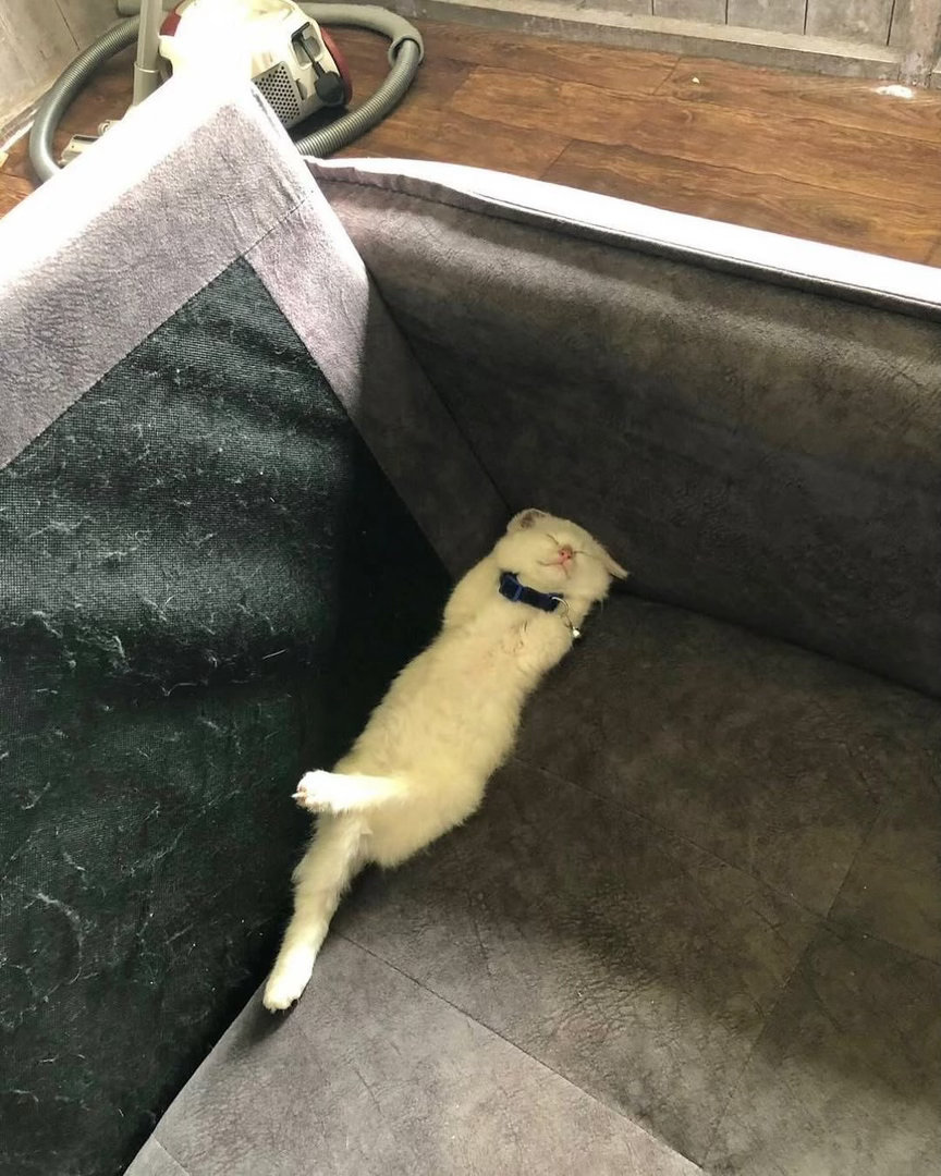 chill 
