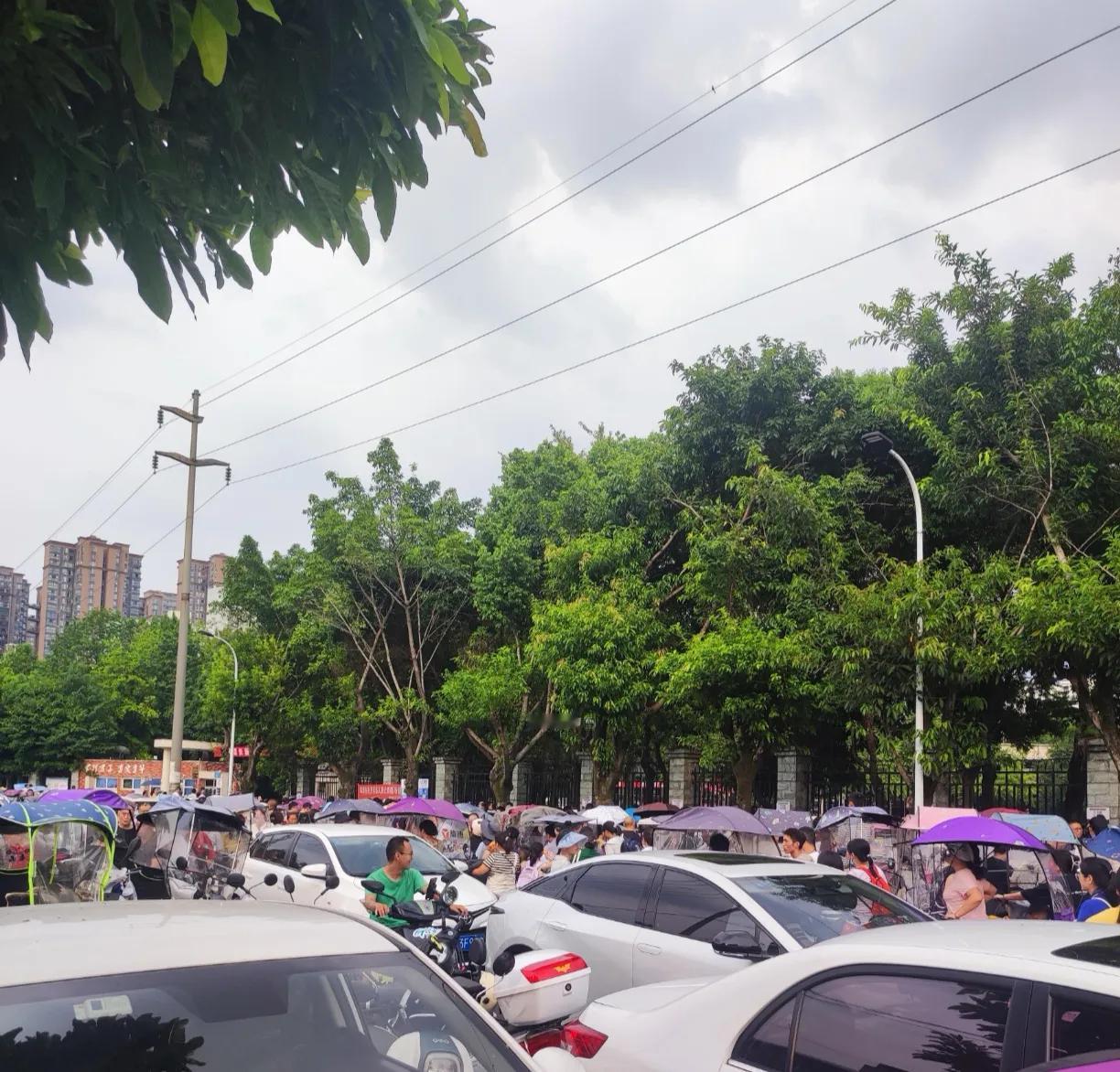 9月1日各地学校都开学，开学时间就不能错开一些吗?

    昨天，各地学校秋季