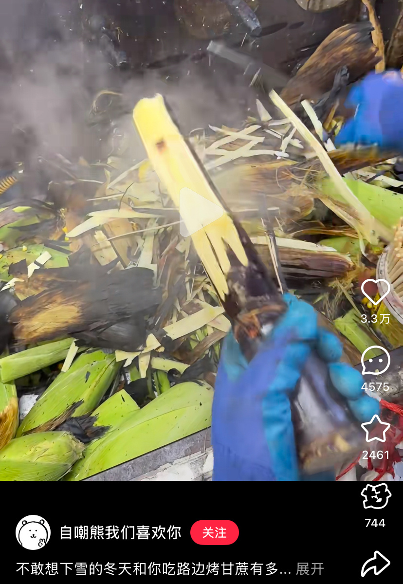 烤甘蔗[疑问][疑问]嚼着不烫嘴吗 ​​​