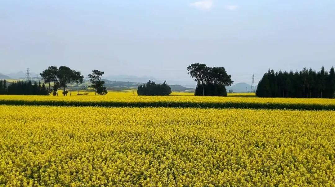 #天南地北大拜年# 一起领红包>我们国家虽然有14亿人口，市场大，但是有消费能力