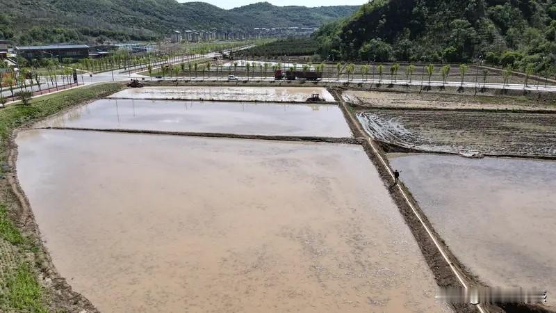 上联：春播千亩稻；诚邀下联夏育万盆花。