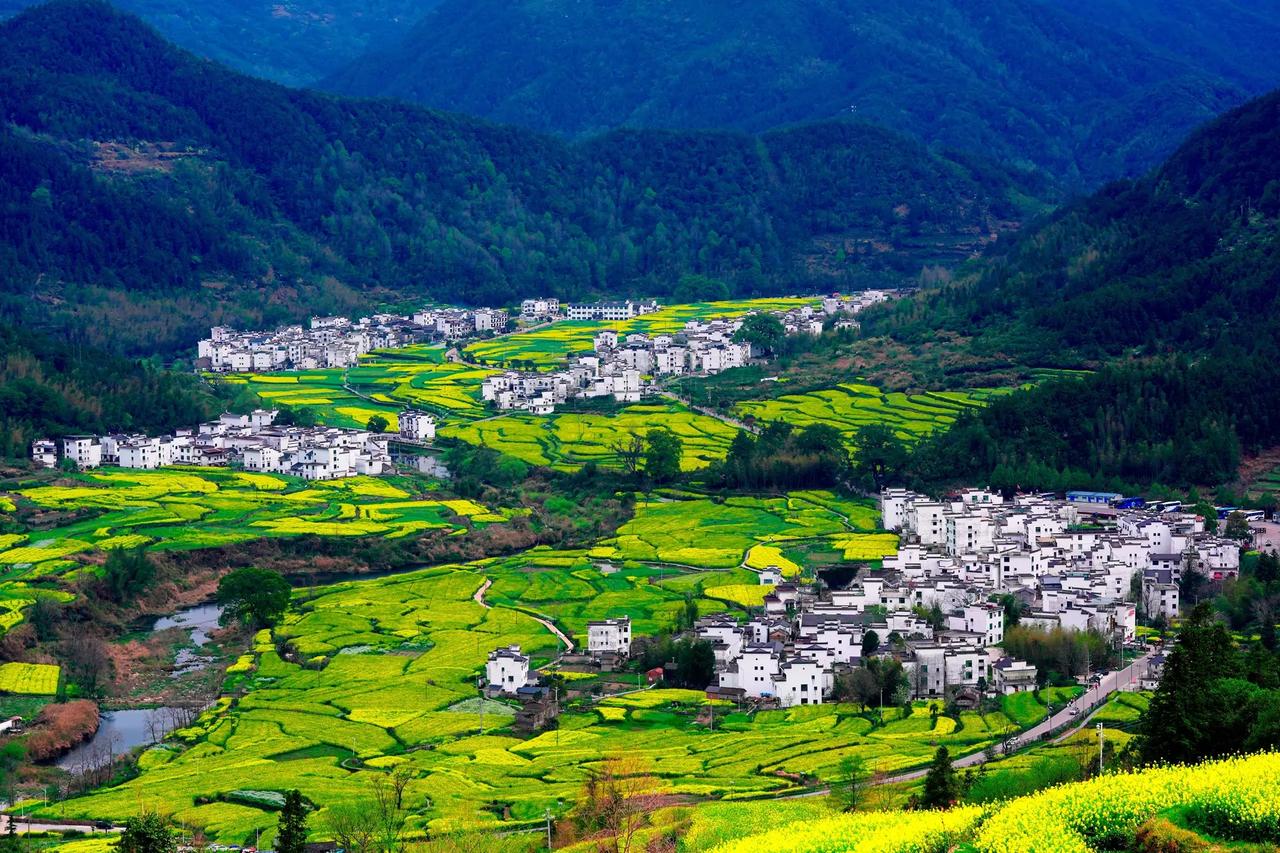 我们曾经带过一位来自南京九中的学生，是个学小提琴专业的艺术生小姑娘。她刚来的时候