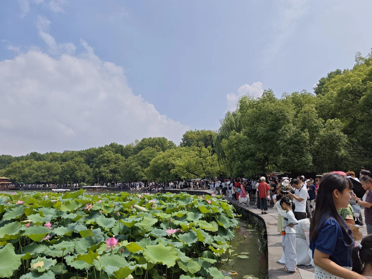 杭州热出全国第一的高度，虽然天气炎热也挡不住人们对西湖的向往，来自五湖四海的游客