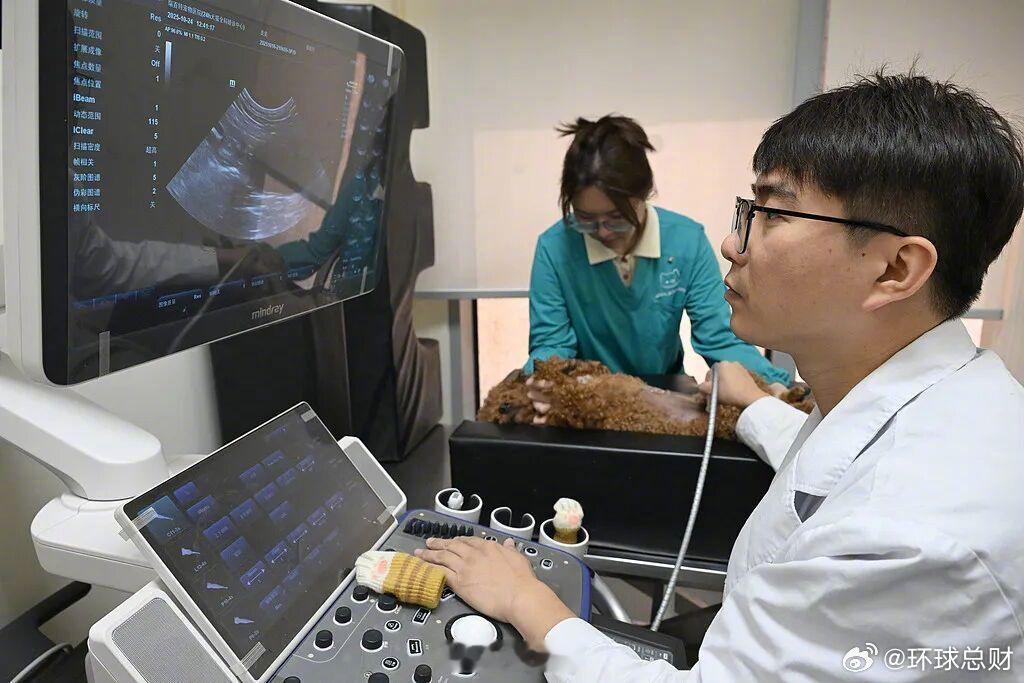 【】 “0元起赔、3日快赔、报销医院遍布全国……”近年来，随着宠物经济的快速发展