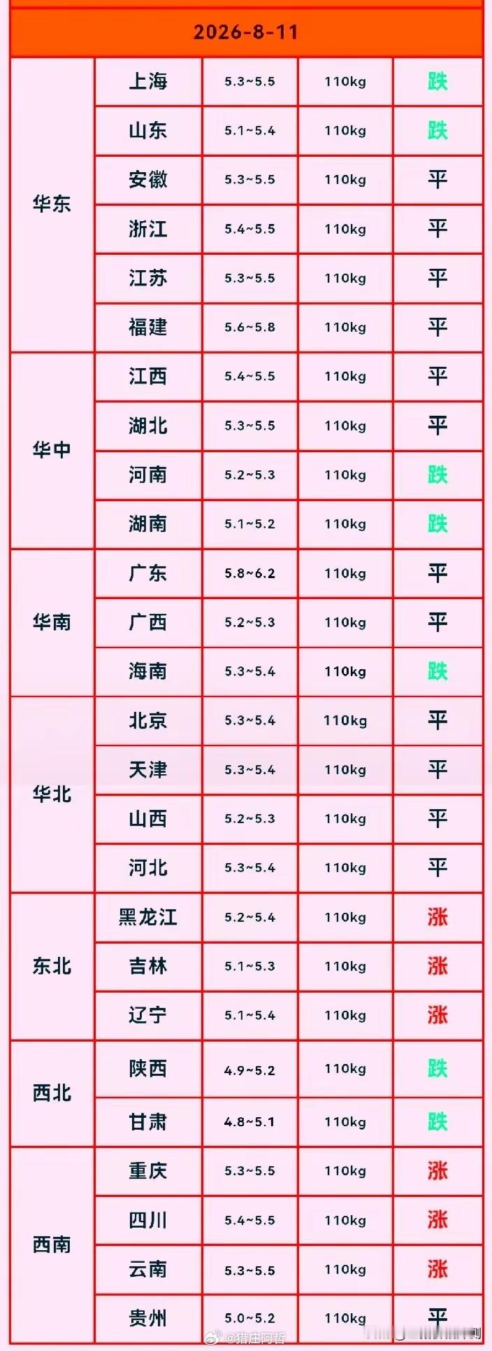 猪价急转弯，养猪户转晕了。明日（2026年8月11日）台风“白海豚”带来的暴雨浇