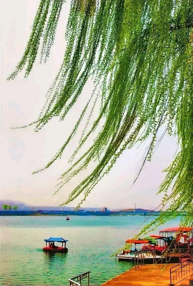 上联：月下露濡花
下联：水畔风扶柳