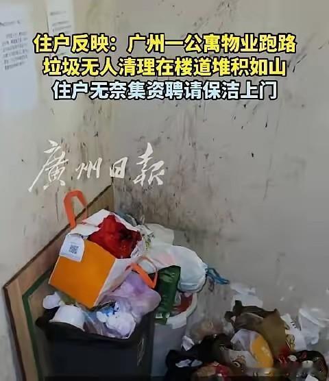 天河北公寓物业跑路后：白领们自己扫垃圾、凑钱保电梯，这日子太魔幻
 
云嘉翡翠公