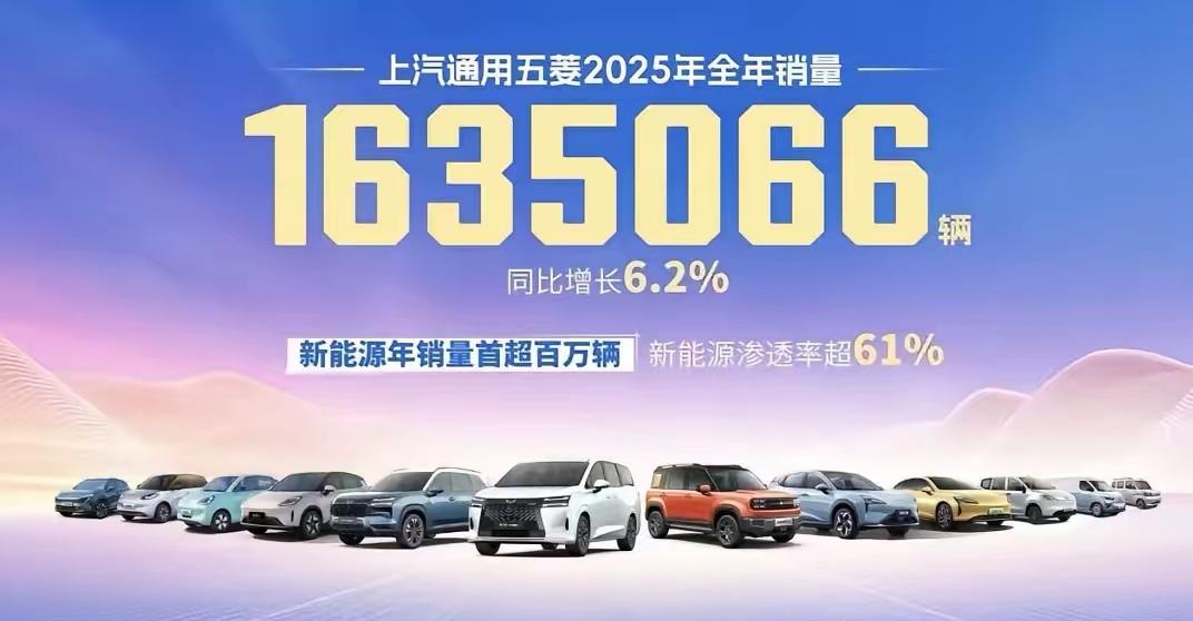 2025国内六大汽车集团销量出来了：
第一名 比亚迪 460.24万辆  同比增