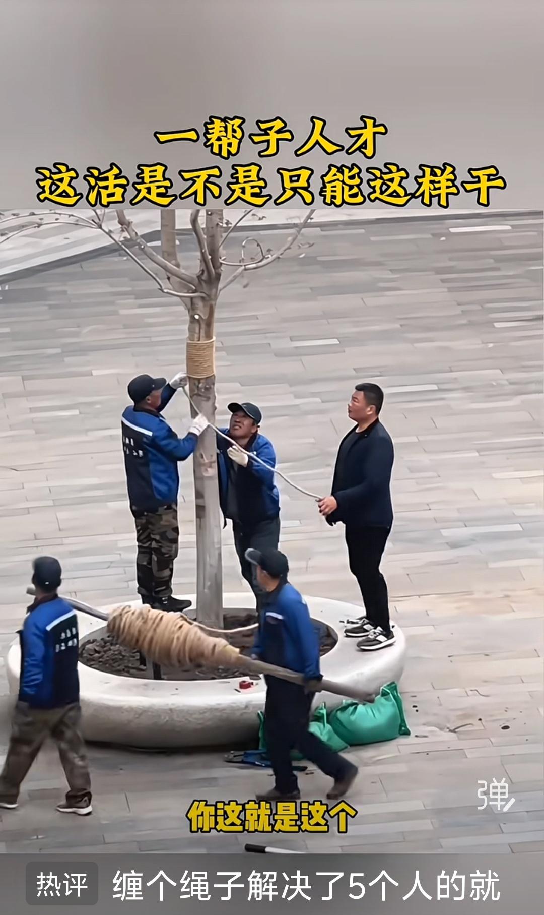 5个人捆树上的绳子，这是体力劳动，还是脑力劳动？这个办法挺好，具有思维创新力，都