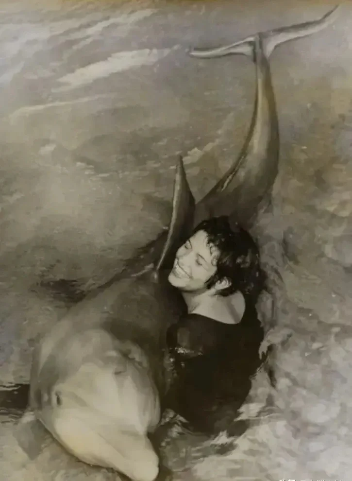 历史上人和海豚跨越物种的爱恋……