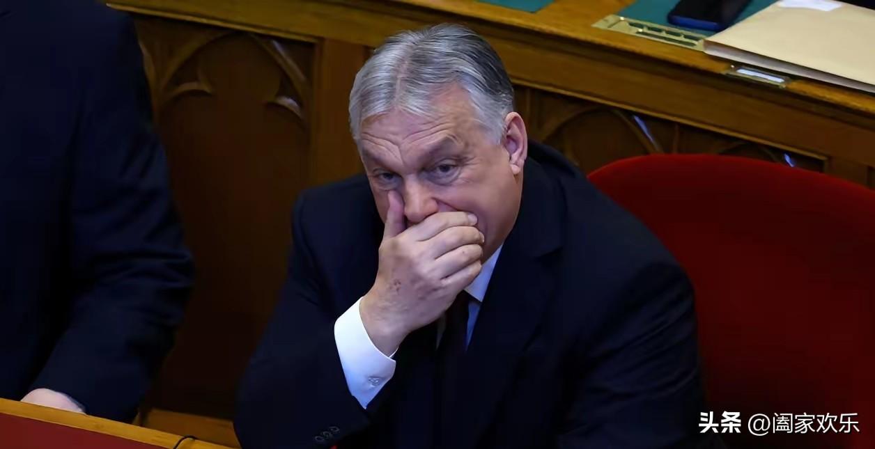 匈牙利和乌克兰两个国家杠了起来！
七名乌克兰银行工作人员押送的3500万欧元现金