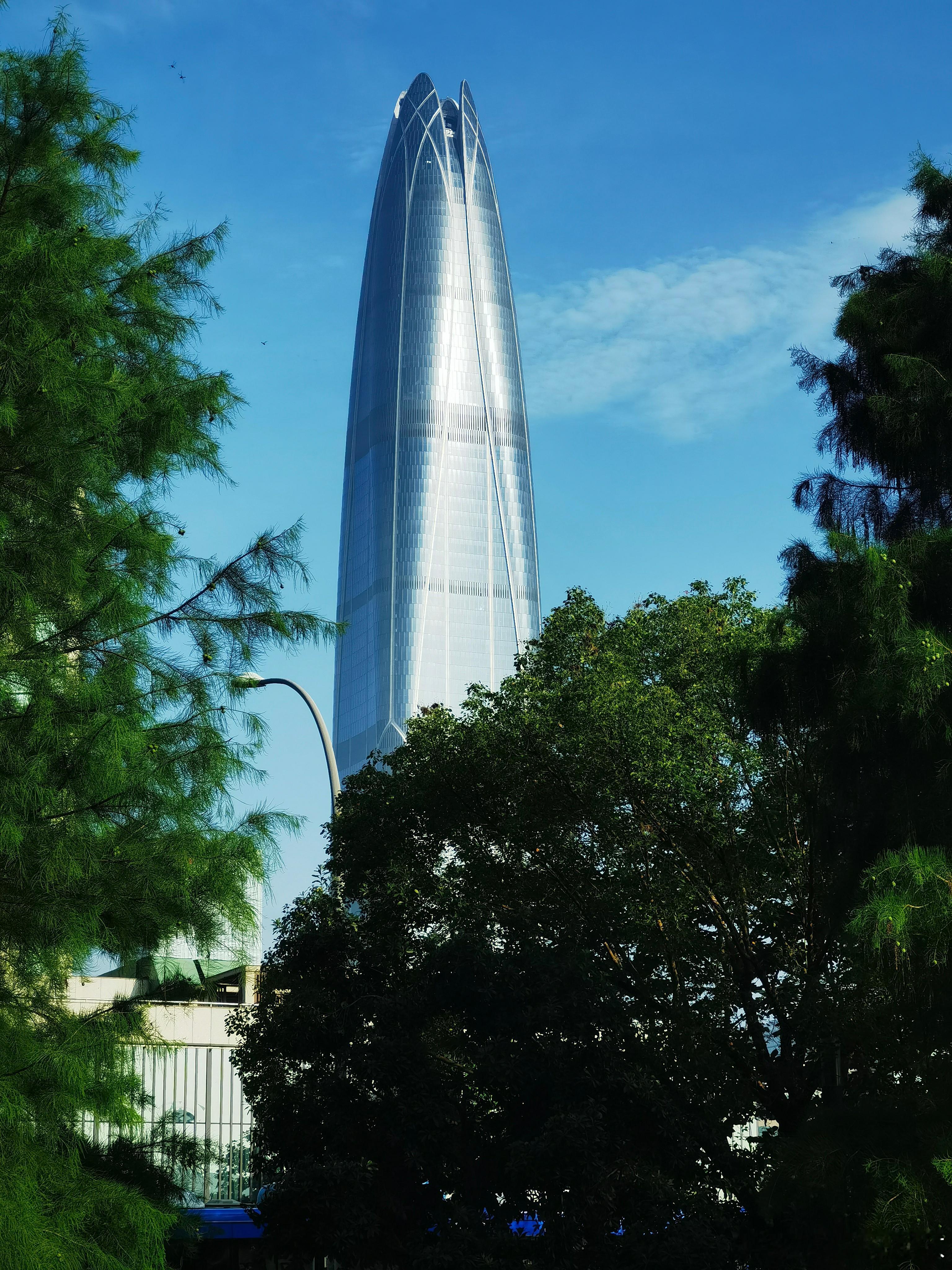 早跑，如图所示 … 