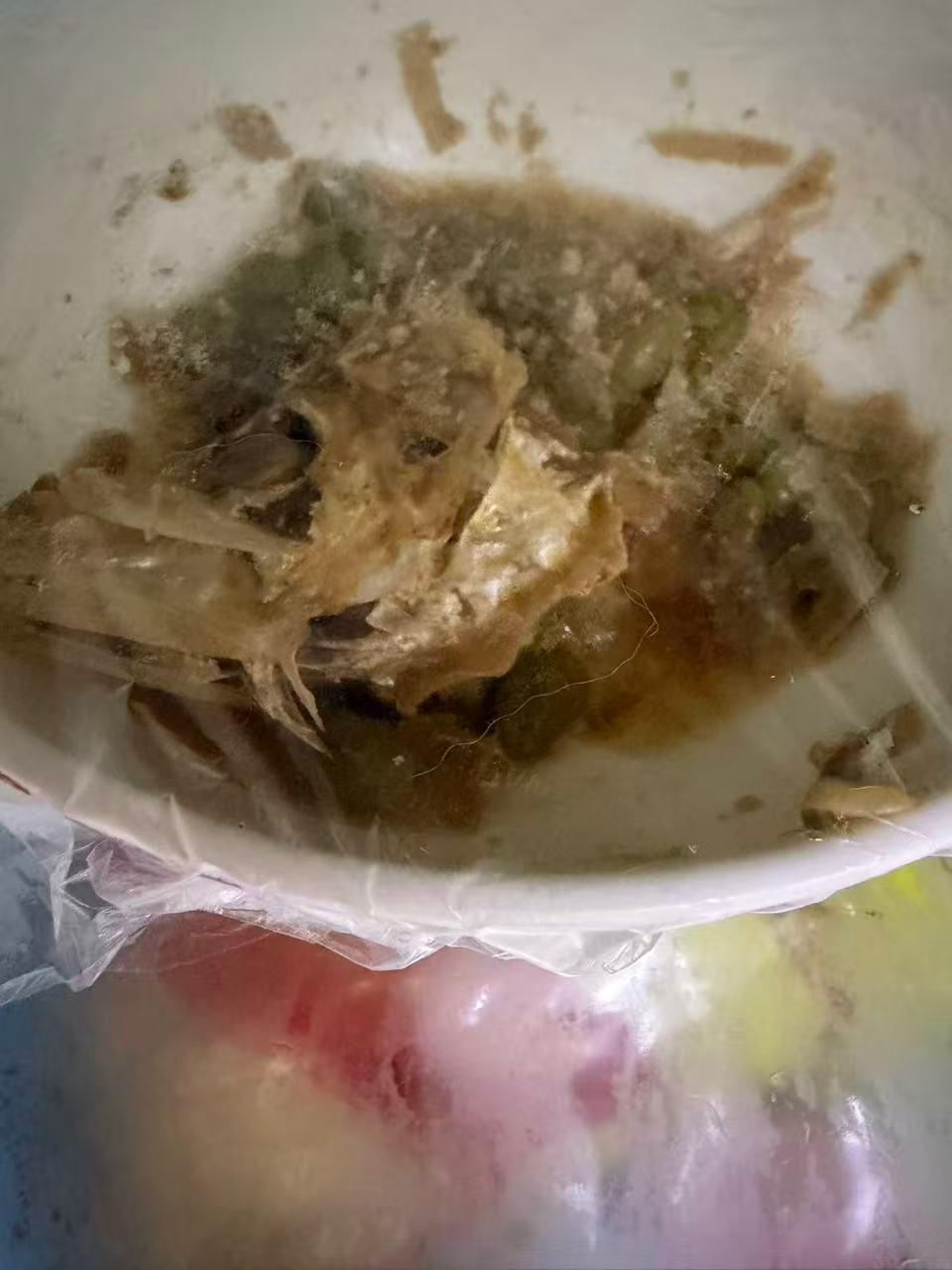 最近我爸妈又出去旅游了，我去照顾白板。打开冰箱，发现里面放了半个没吃完的鱼头。出