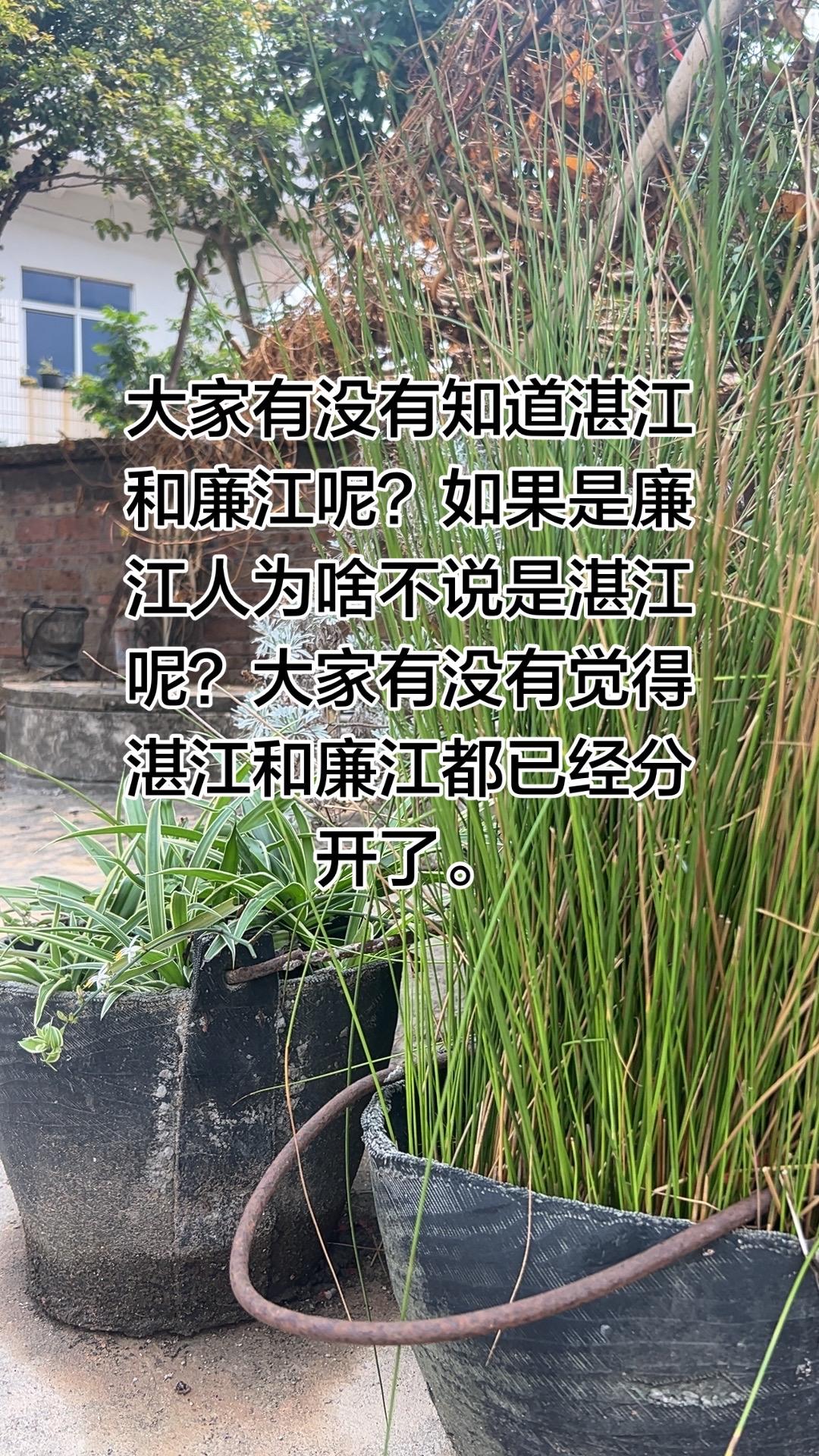 如果你去外面打工，人家问你是湛江人吗？你怎么回答呢？你会说你是湛江的还是廉江的，