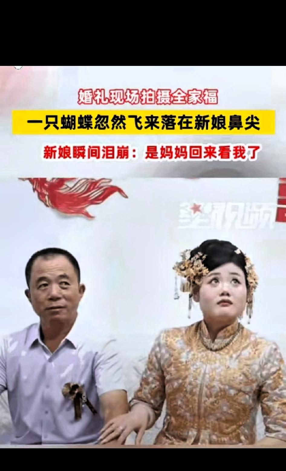 这一幕，连科学都解释不了！山东，婚礼当天，新娘出门前正和爸爸拍合照。突然，一只蝴